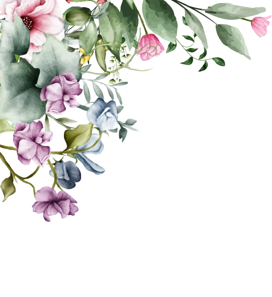 frame