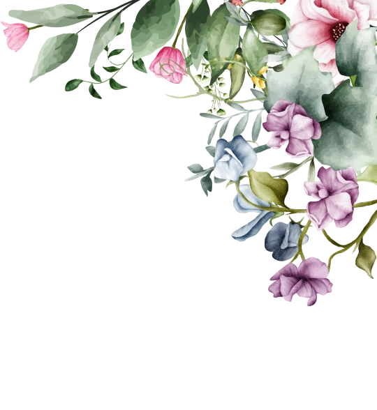 frame