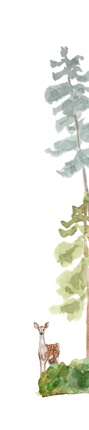 frame
