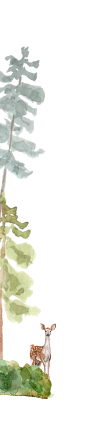 frame